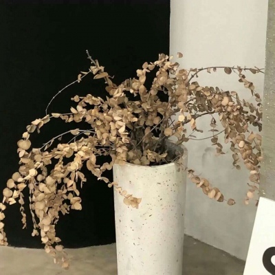 泗县FurryQQ群介绍